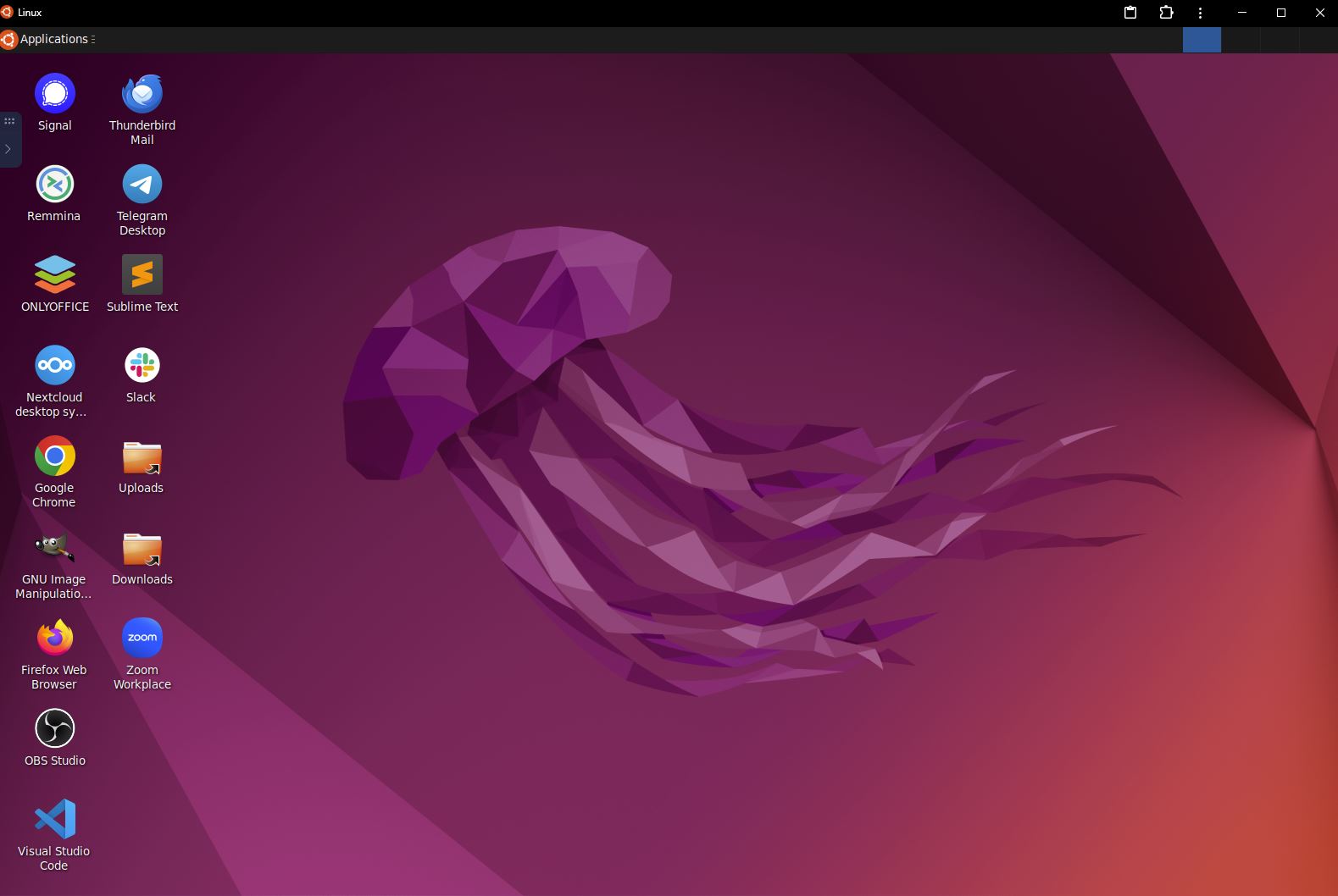Linux Virtual Desktop